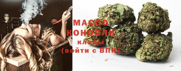 тгк Бикин