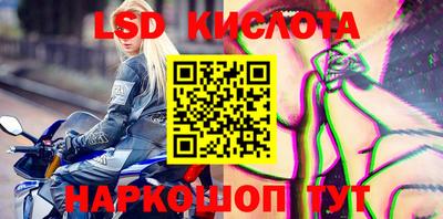 PSILOCYBIN Беслан